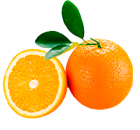 Laranja Bahia