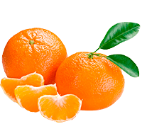Tangerina Morgote